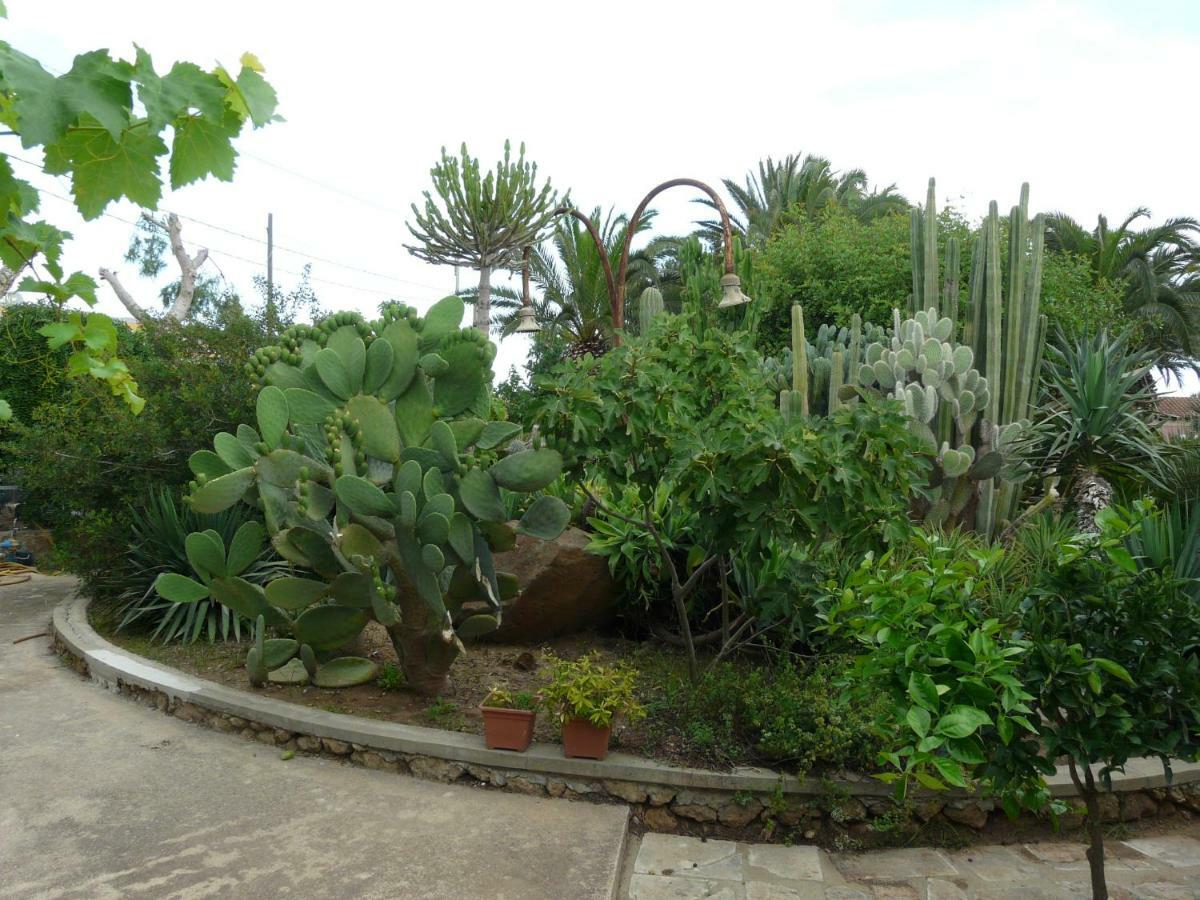 Villa Yucca Avola Exterior foto