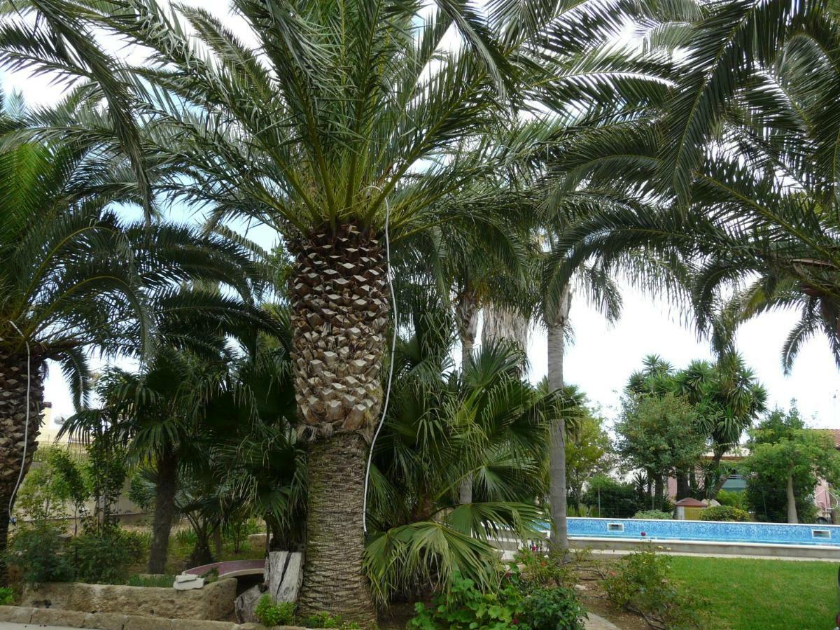 Villa Yucca Avola Exterior foto