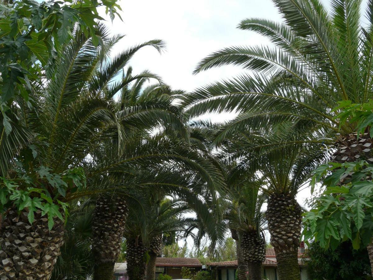 Villa Yucca Avola Exterior foto
