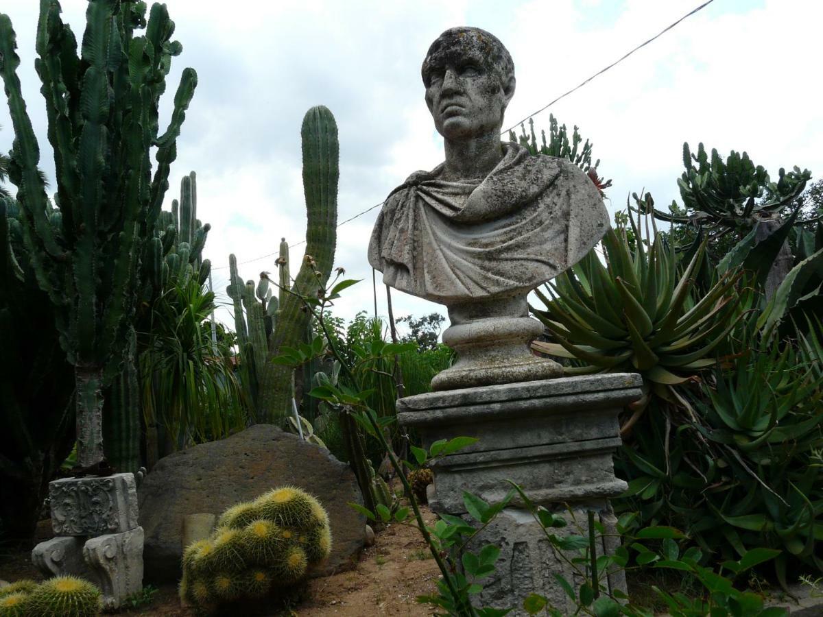 Villa Yucca Avola Exterior foto