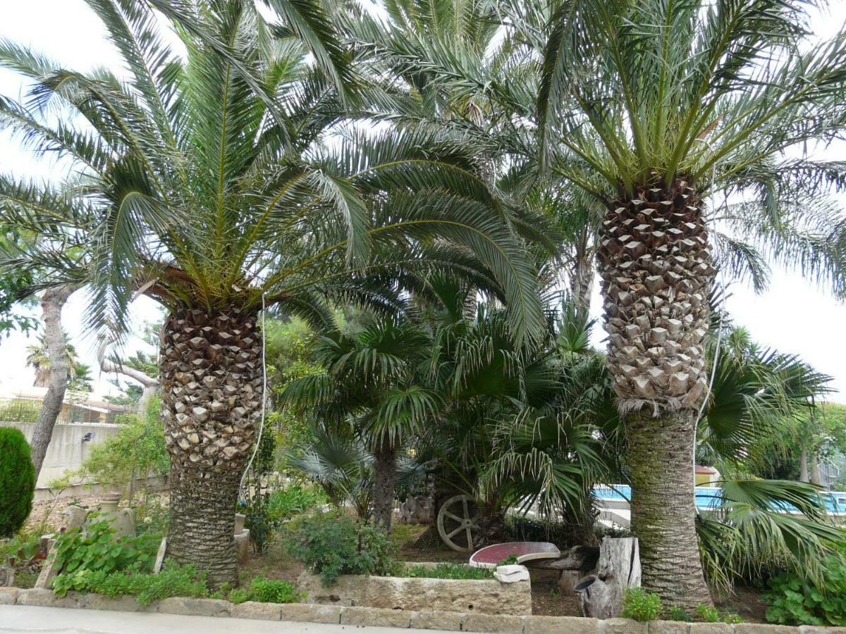 Villa Yucca Avola Exterior foto