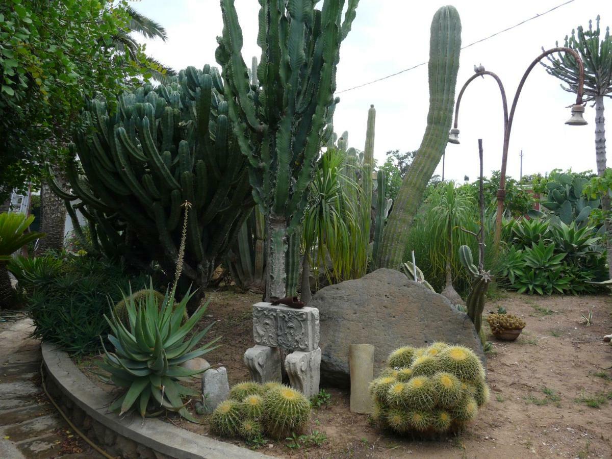 Villa Yucca Avola Exterior foto